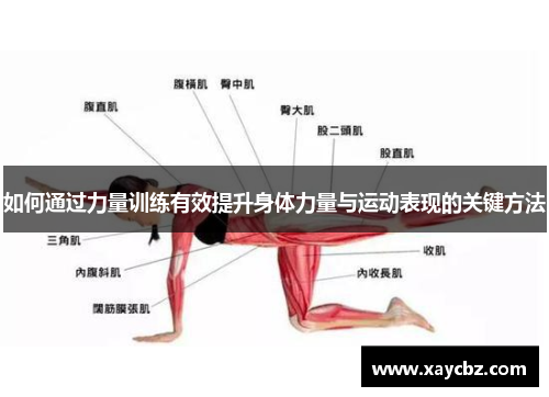 如何通过力量训练有效提升身体力量与运动表现的关键方法