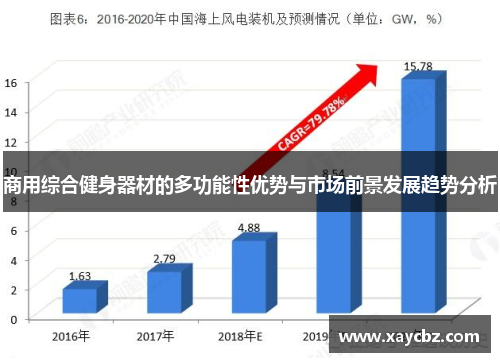 商用综合健身器材的多功能性优势与市场前景发展趋势分析